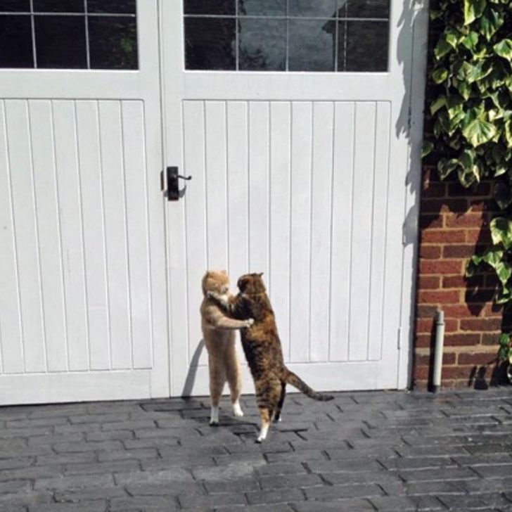 ba319c5d50bcda91d72eb276b9