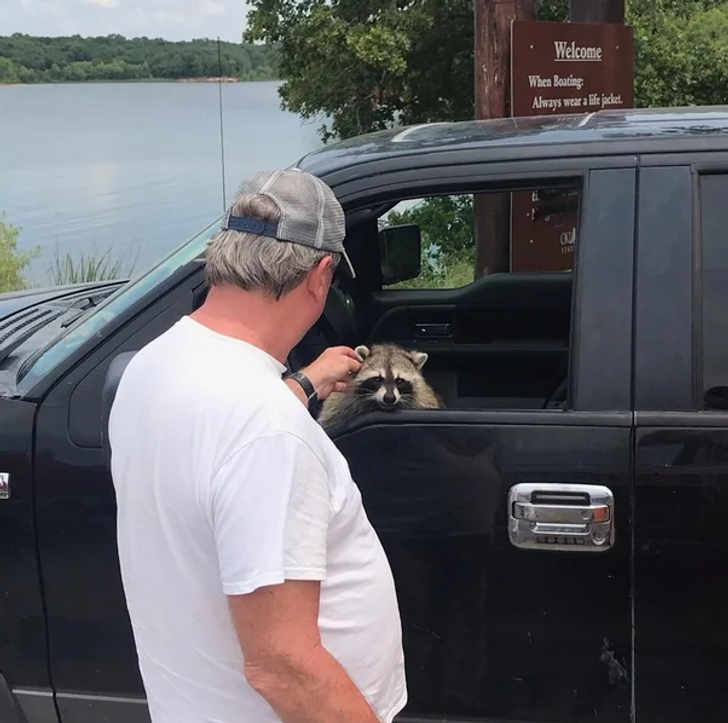 ba33d85208adfccd807ac6255d