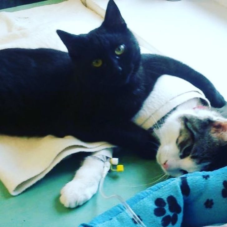 ba35a151f8881c224c57919586