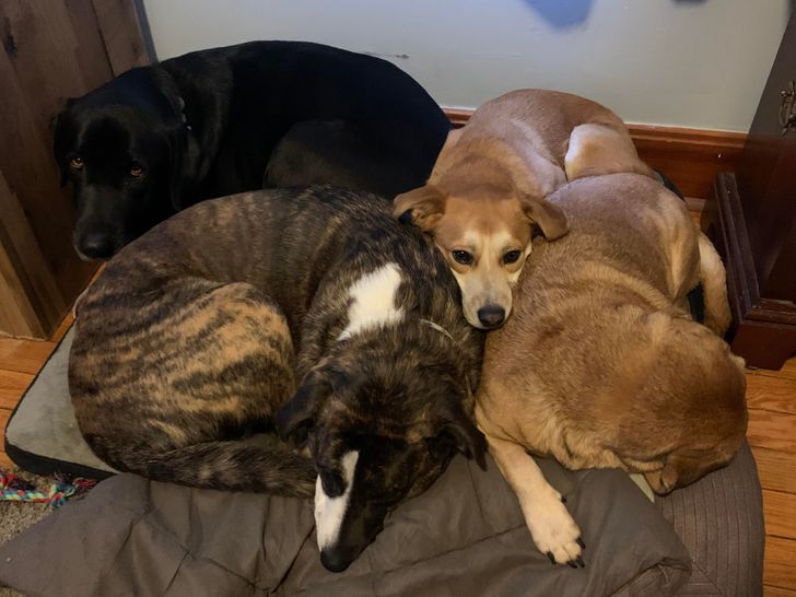 ba518a548d92751de0f0a6f875