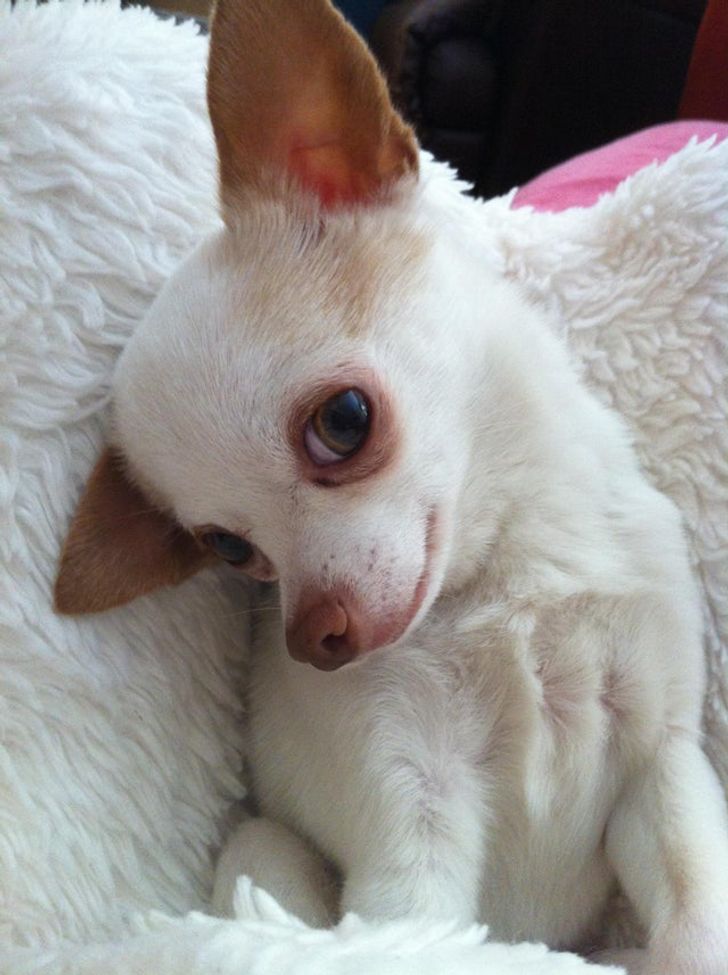 ba618c5a8f94da1ad6676f873d