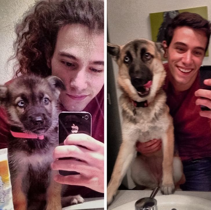 ba61f8578a847578aca9b41821