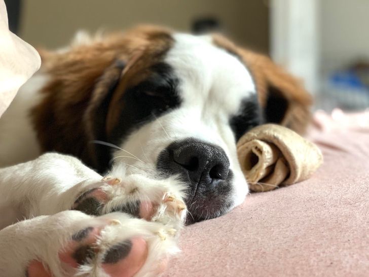 ba6e215ad99fa99317cb8b3afb