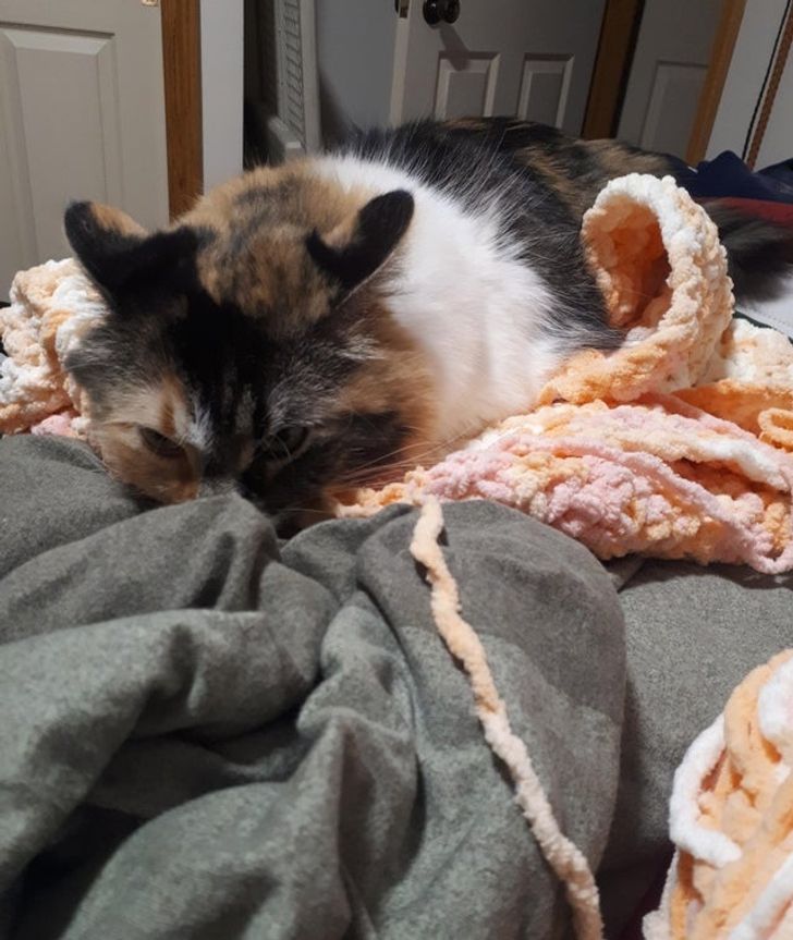 ba6e675db6b17ce4cbe1cd7a5a