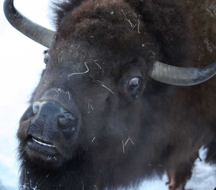 ba6f2c52198090460a83ecd2cb