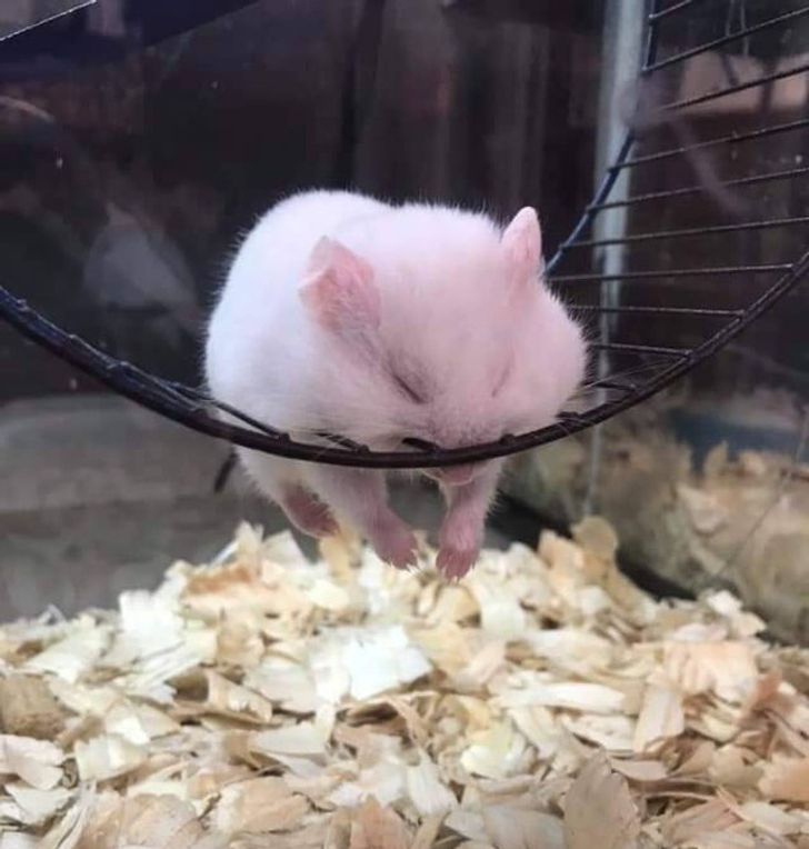 ba6f915964bc82251d448e12e5