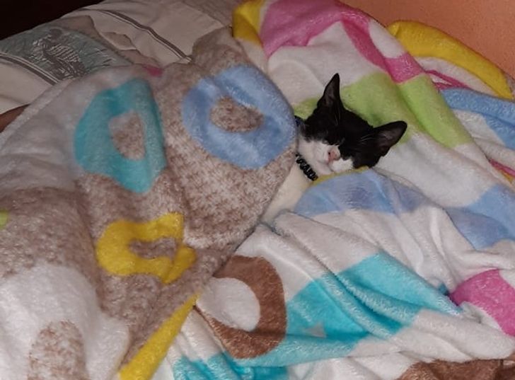 ba723c5e208dbbd3f792d6441a