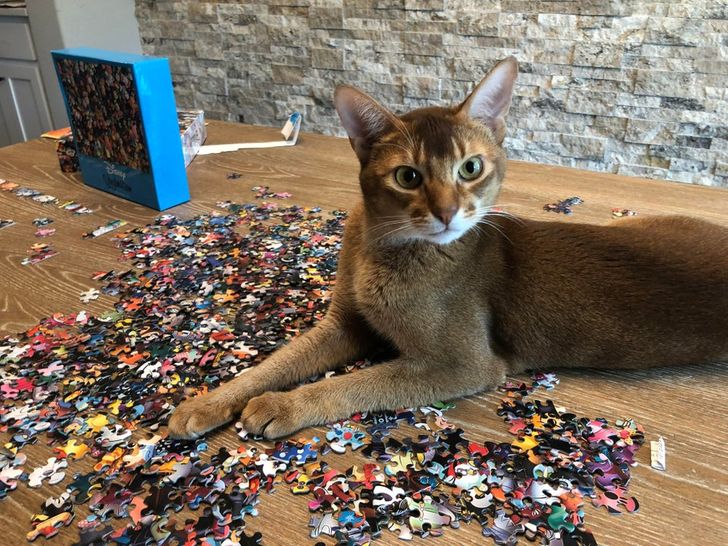 ba7b2053648257125d77de5ebf