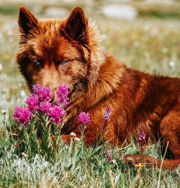 ba7b7f556ab79b41fadc7b0239