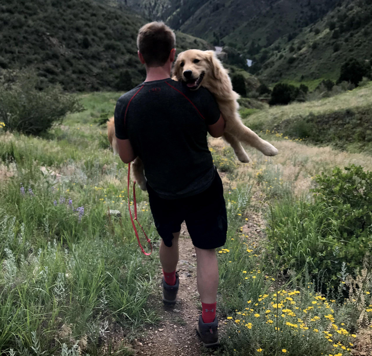 ba7f95514fa82485facc96ee5c