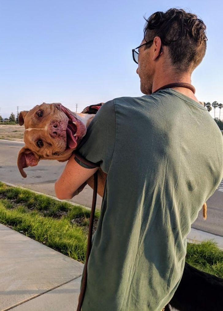 ba80fc5a97b4dc8360e789531a