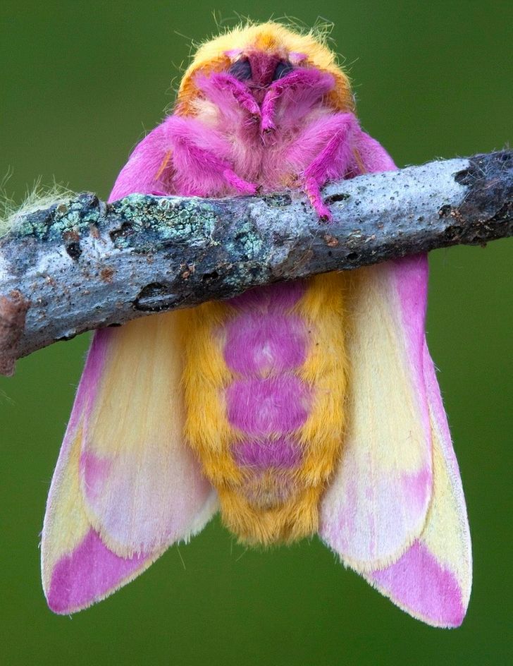 ba828050859087a81797b1bbed