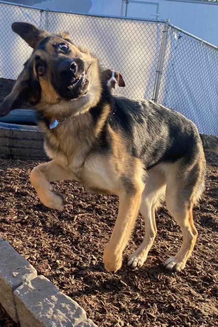 ba86bc5966a177ece23d355bf0