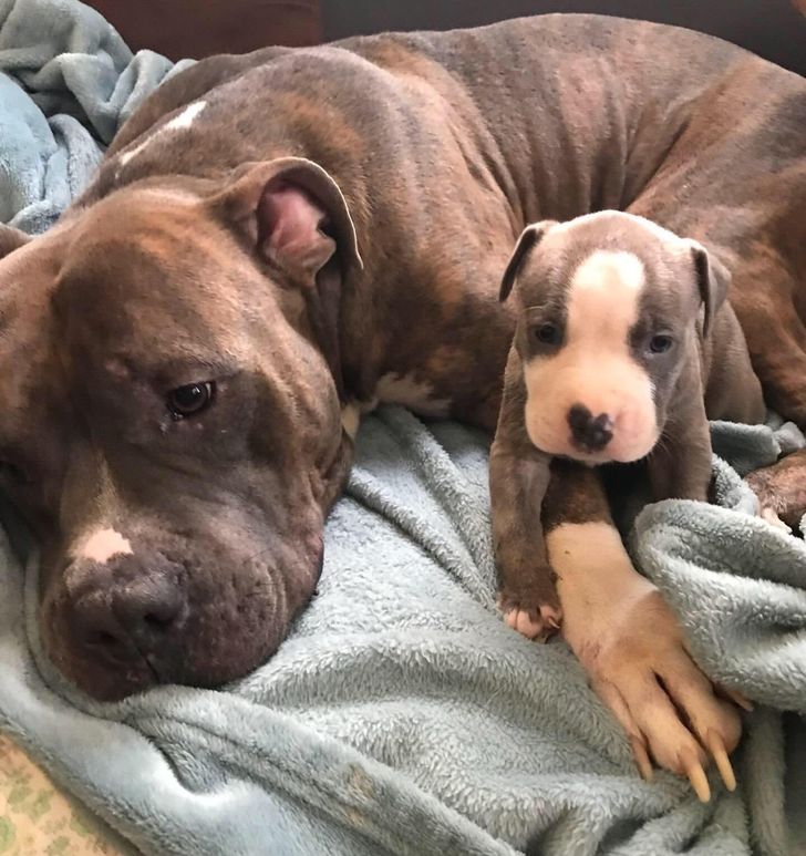 ba88fb521e9edab12ba4cf5c3c