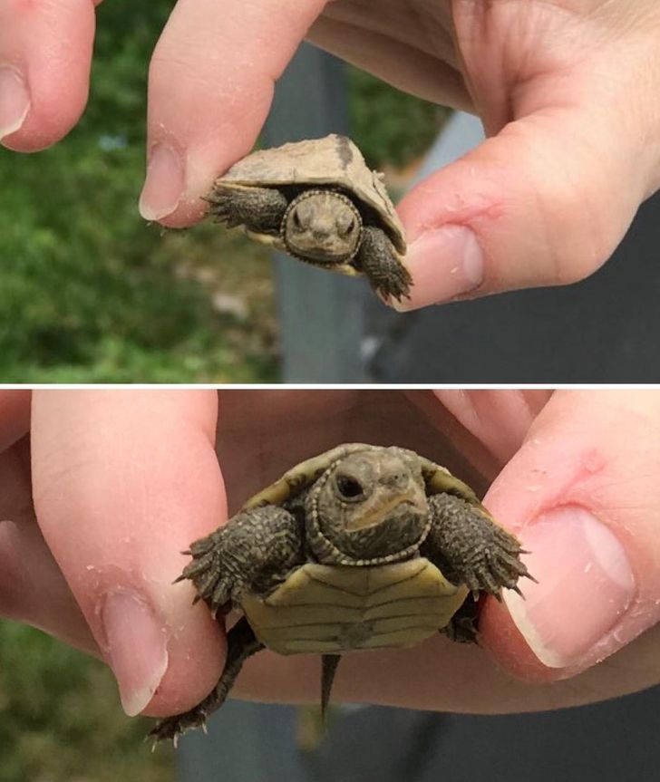 ba92fd525ab364d08a525ee14a