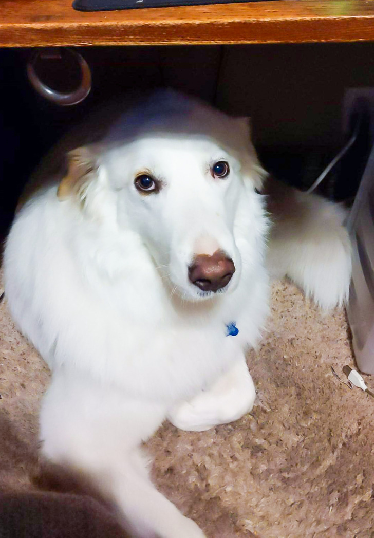 ba998e5a4bad8017a5daee1f58 ba998e5a4bad8017a5daee1f58