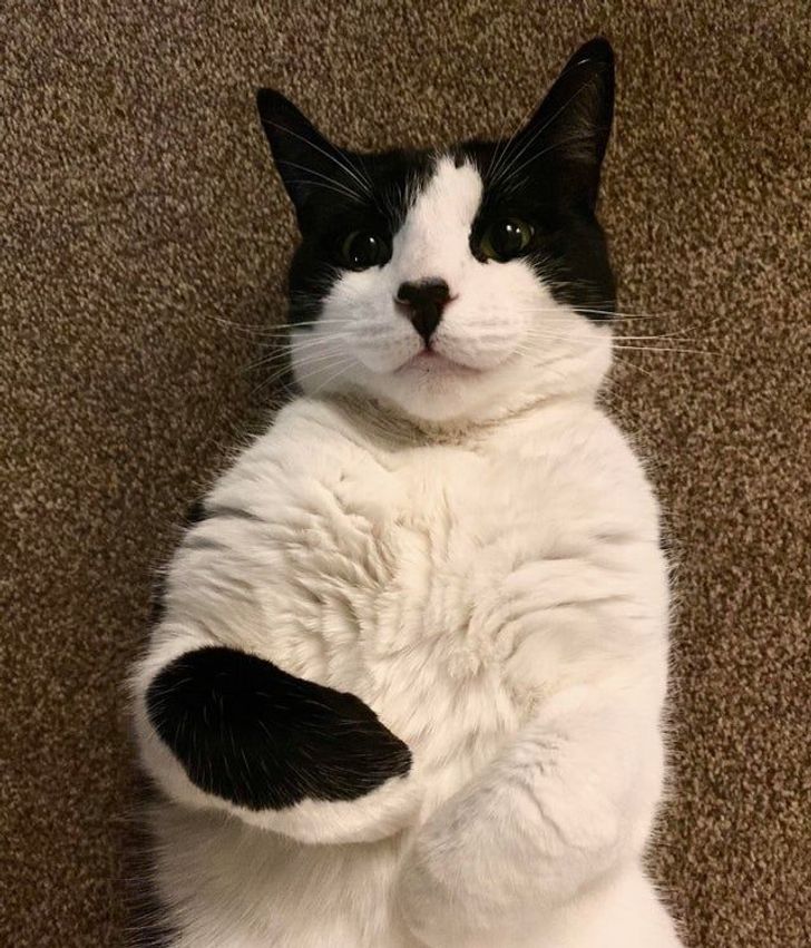 ba9d885a3daa6cd712f91552f8