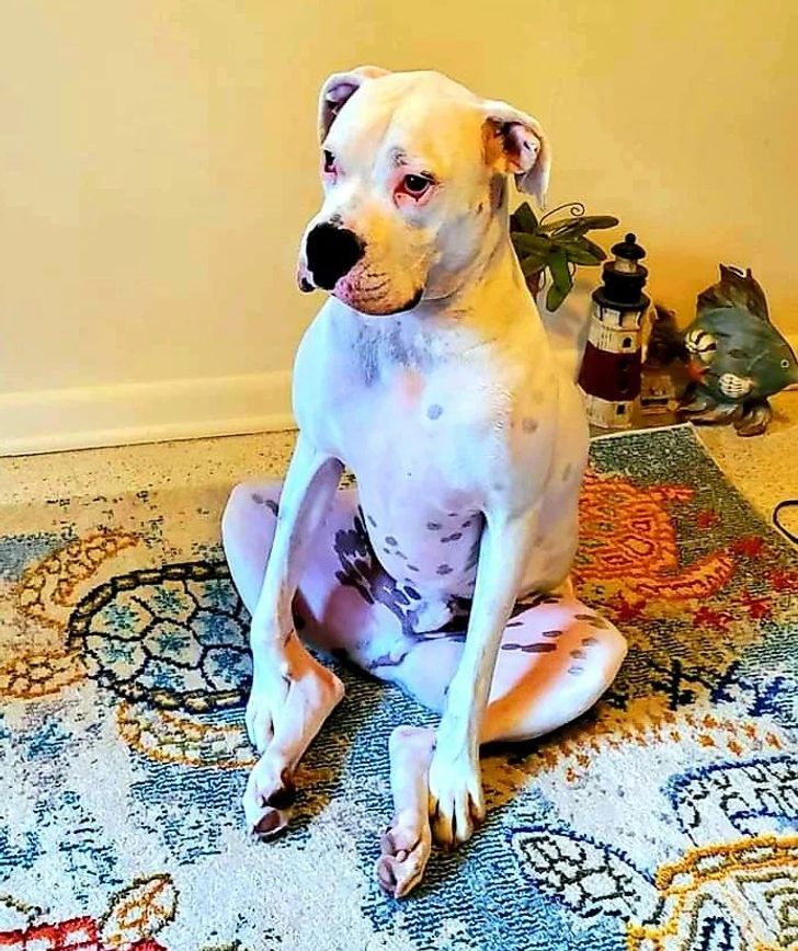 ba9fa758ac94bfdd8e9092bcf2