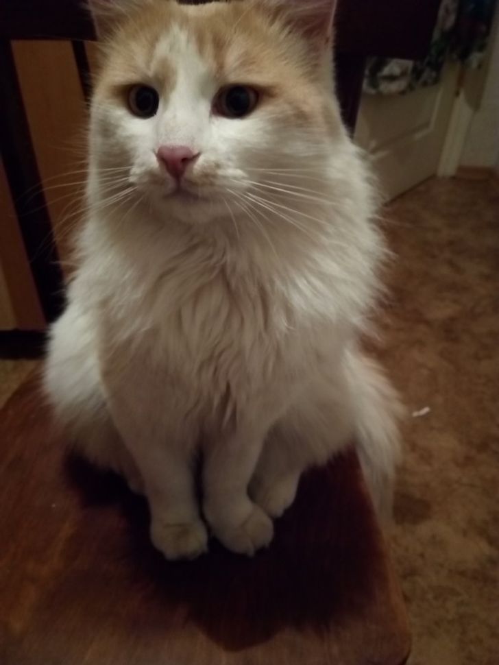 baa8085f3cbf459800d84227d0