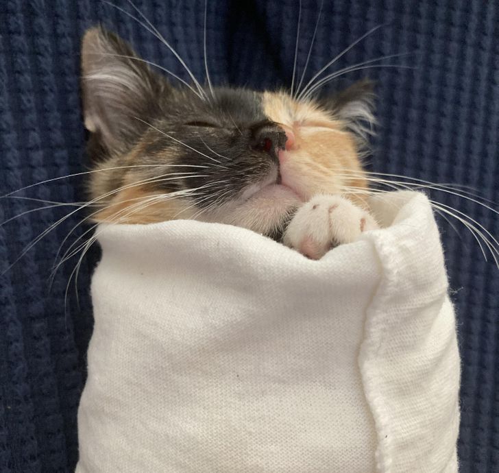 baaba05469a0577552a52c3966