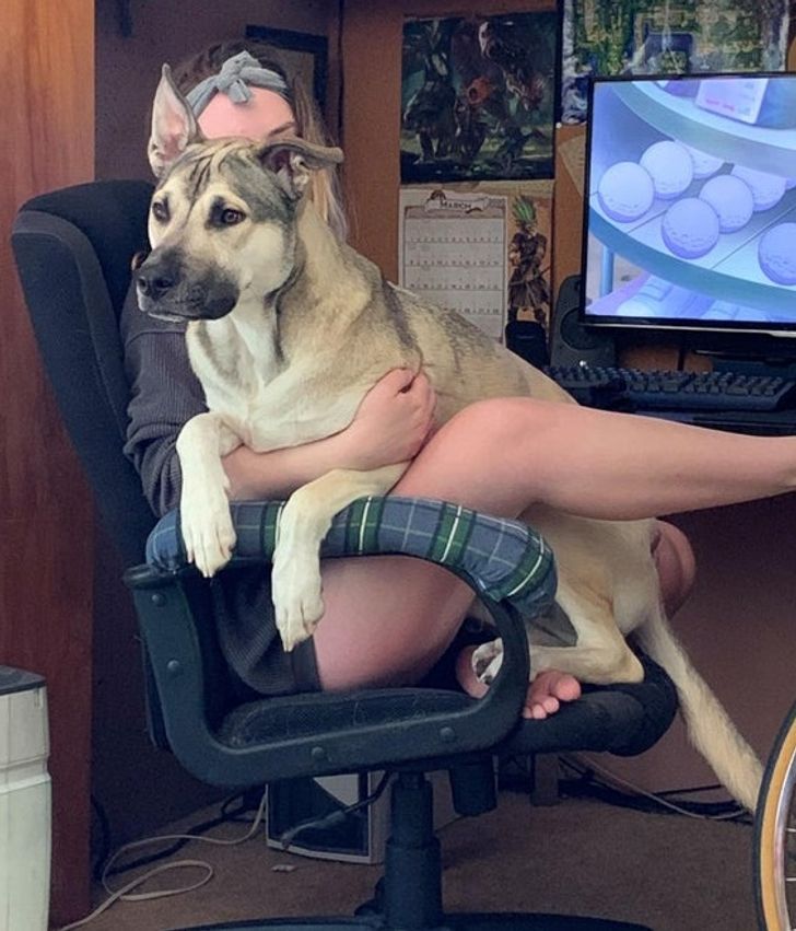 baac795ef8b5381593060b8db5