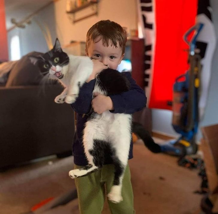 baaf7a5e95888993768d46a7f0