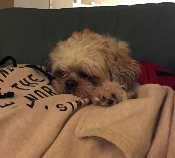 baaffa5a08aad3fd7a9ff13fe0