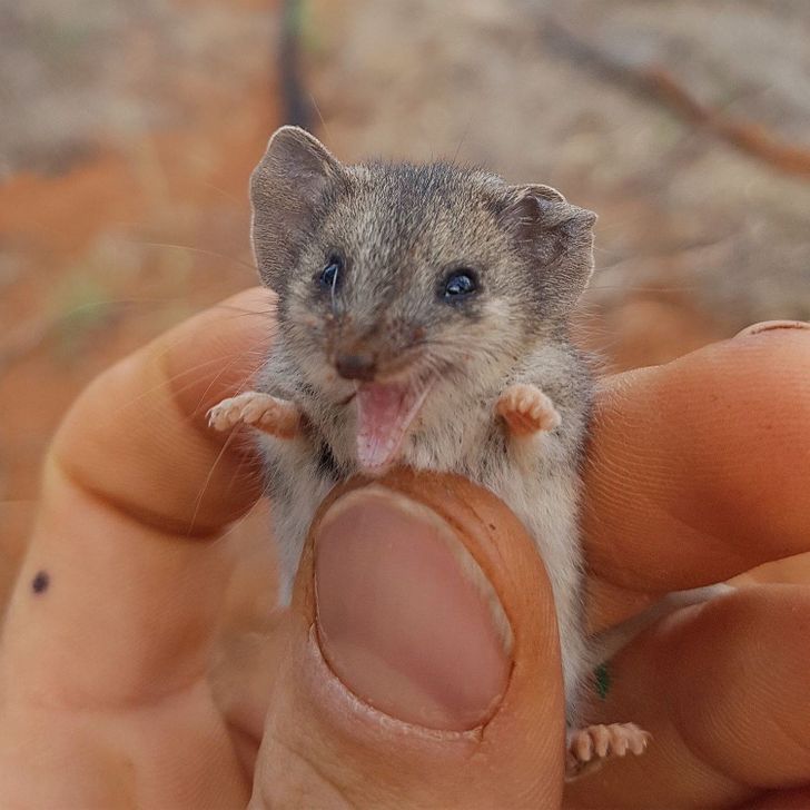 bab2f056eaa1af2b29e45079d7