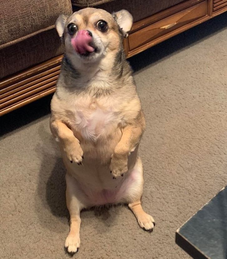 bab69a5a429a10026fd135ba3b