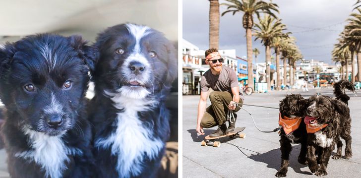 babc08560b831ec3d2c1a9df85