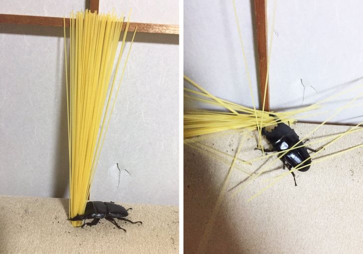 bac3f258a4abcbf09ea57ad0fc