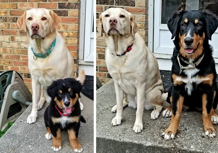 bac6e25fa5ae08c9fb7e3f57b5