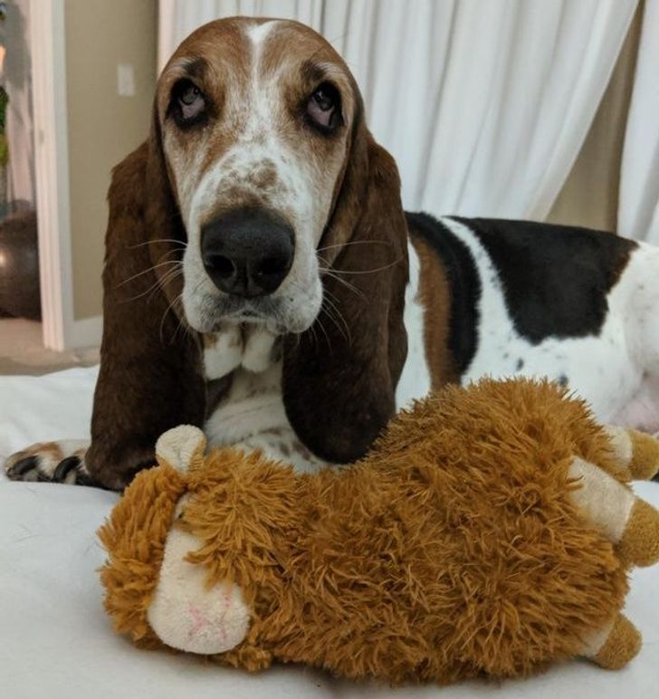 bac925596fa445965f778b6af4 bac925596fa445965f778b6af4