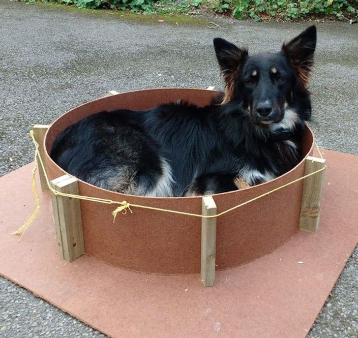 bac94650d58609f839f2f8ed50