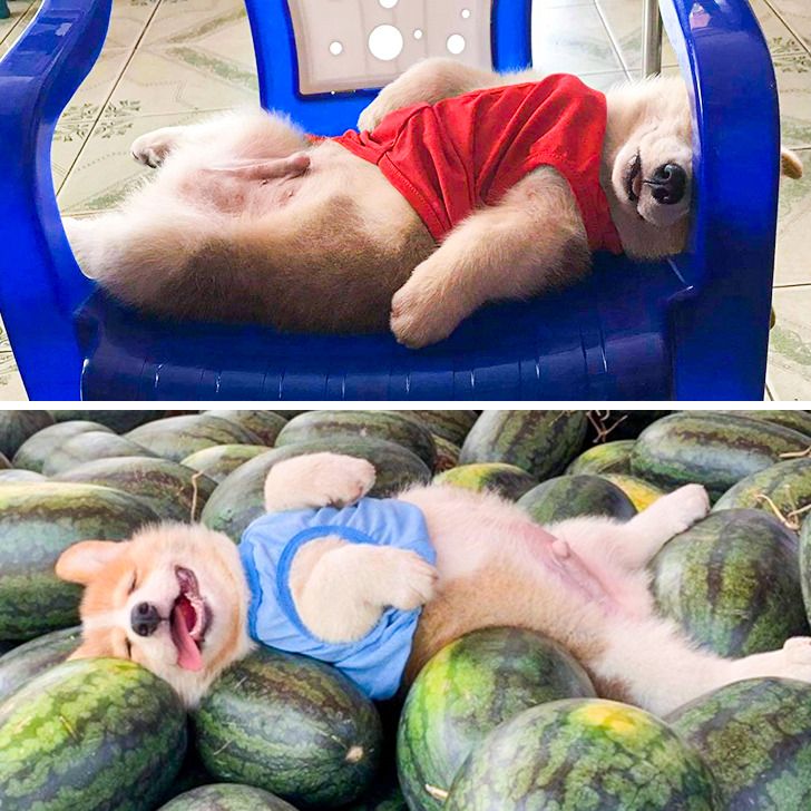 bacf8852b3823c946da1e0a31d