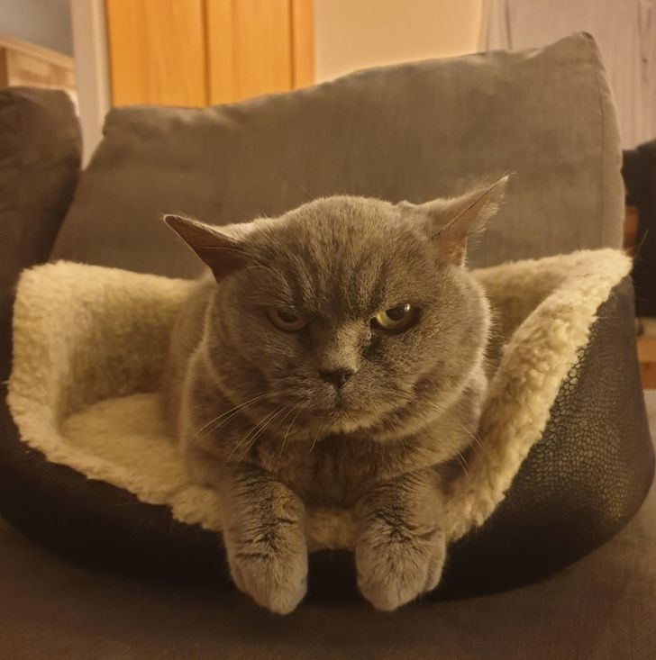 bad28a5f11bbd73c9f13bd3311