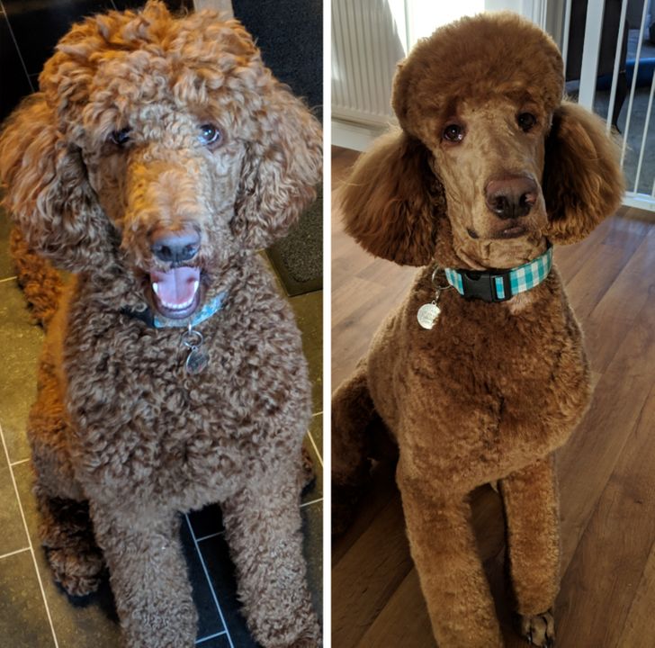 bad6135d0bb3acf015f92164ff