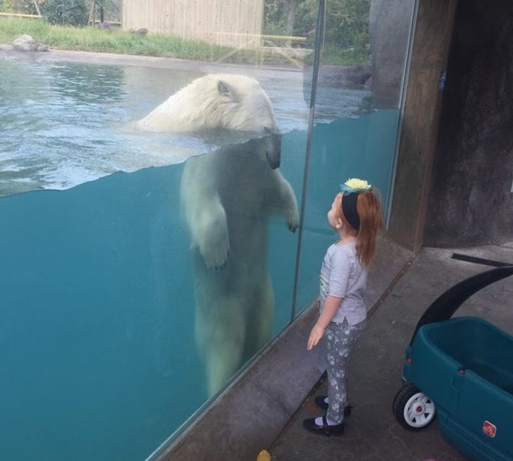 badc06544cba147a919964291d