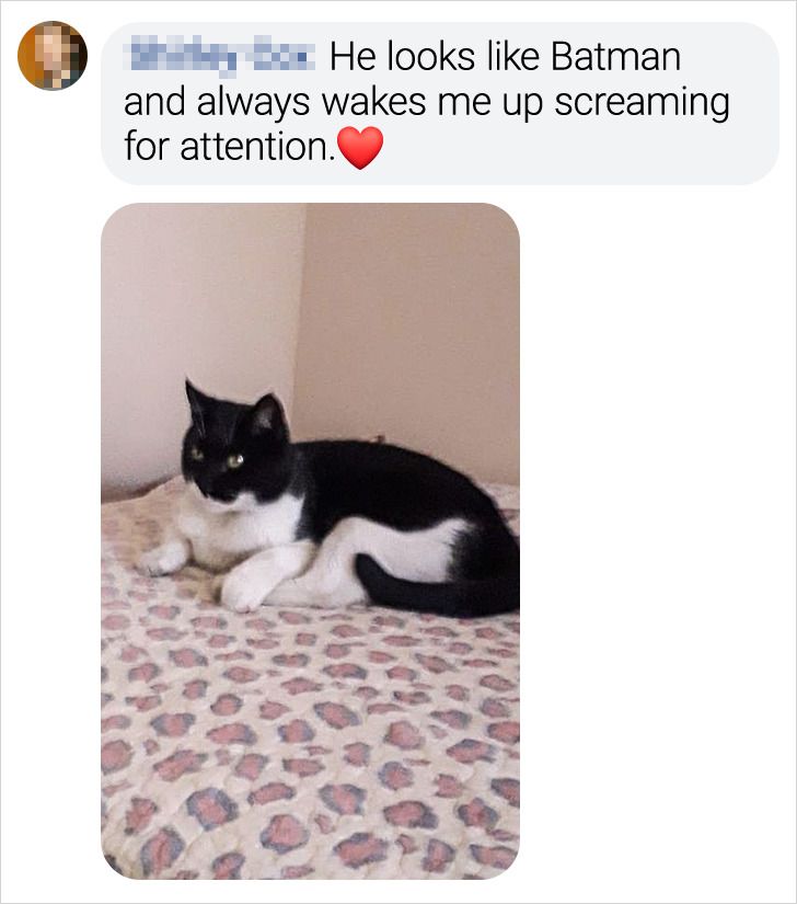 bae13252cab484b60ecbf327bd