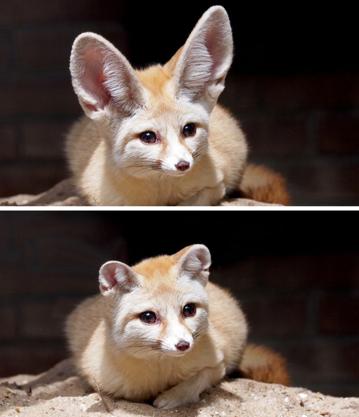 bae3ea5d8793b7e423e3983217