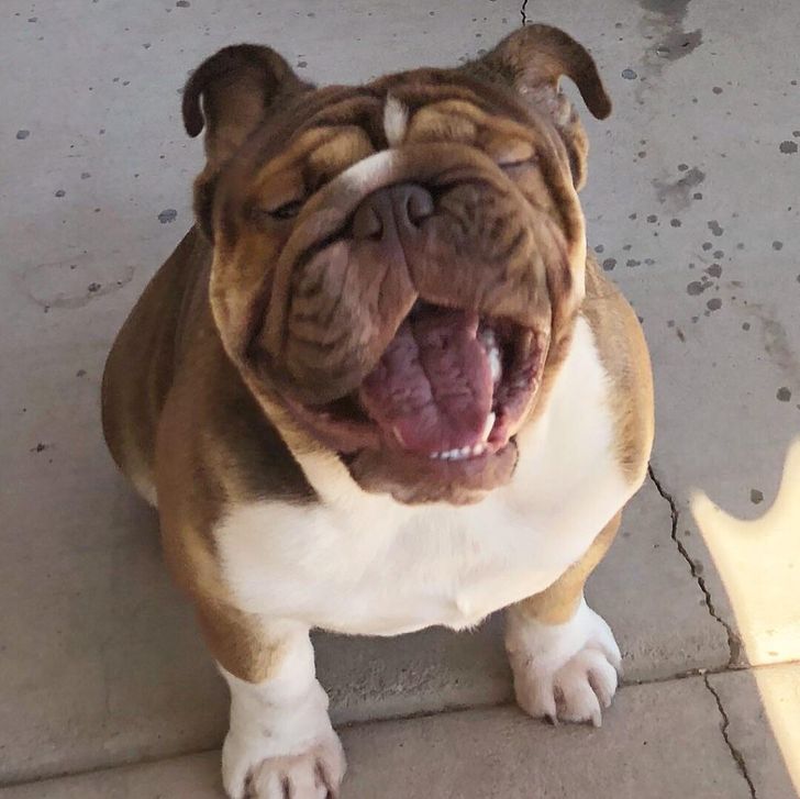 bae6d25fa29acf6a2741f2a446