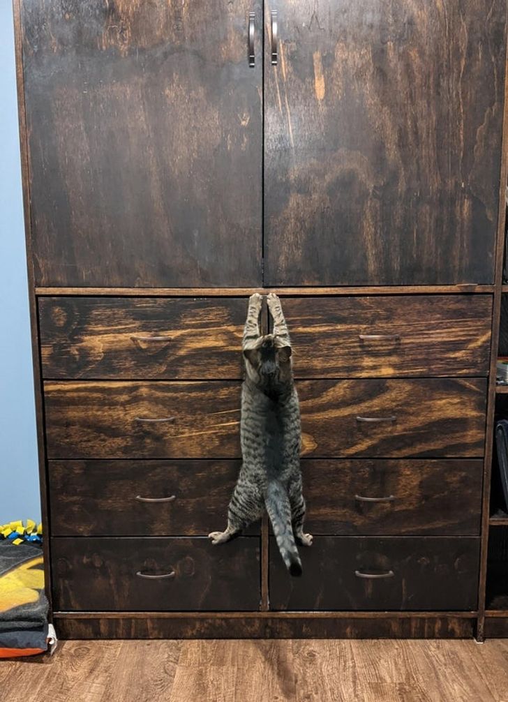 bb0161572a9790447f4c4e7289