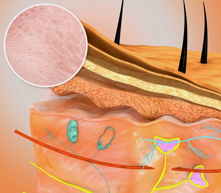 bb05e45bee98faa1cc6b2887a3