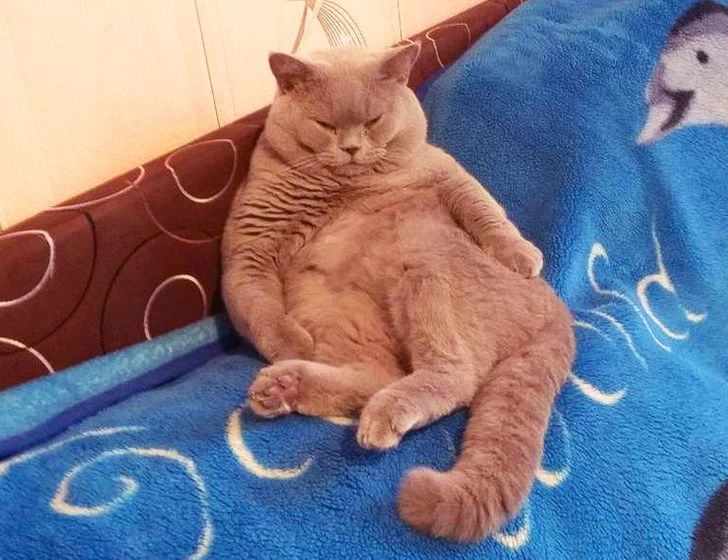 bb11825cb0b2c372eb968e0109