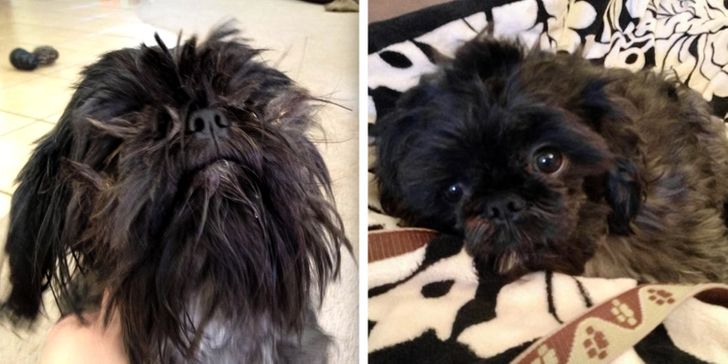 bb1a6051e28298bf1f9639f3e3