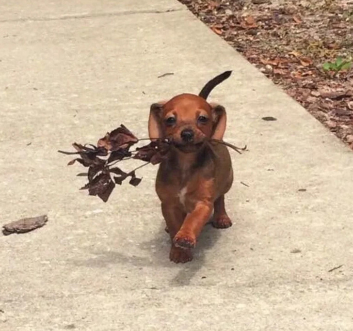 bb1c095c4d814317ef923f9031 bb1c095c4d814317ef923f9031