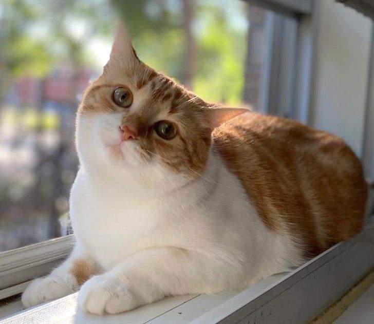 bb1ca15705825bdca49285bce6