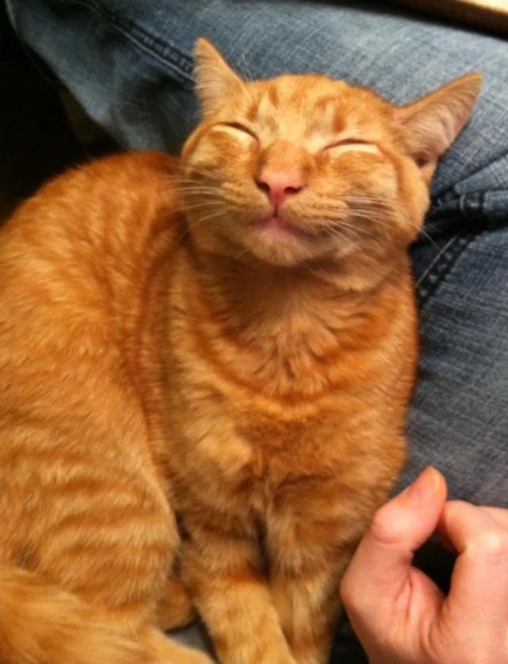 bb1e46535e8db18fe88497061a