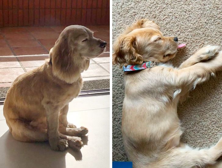 bb2c815b5b855959692c8cc350