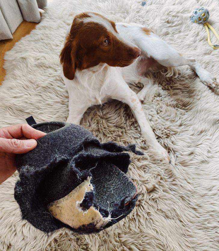 bb31a25d9e8d7184ba37877868